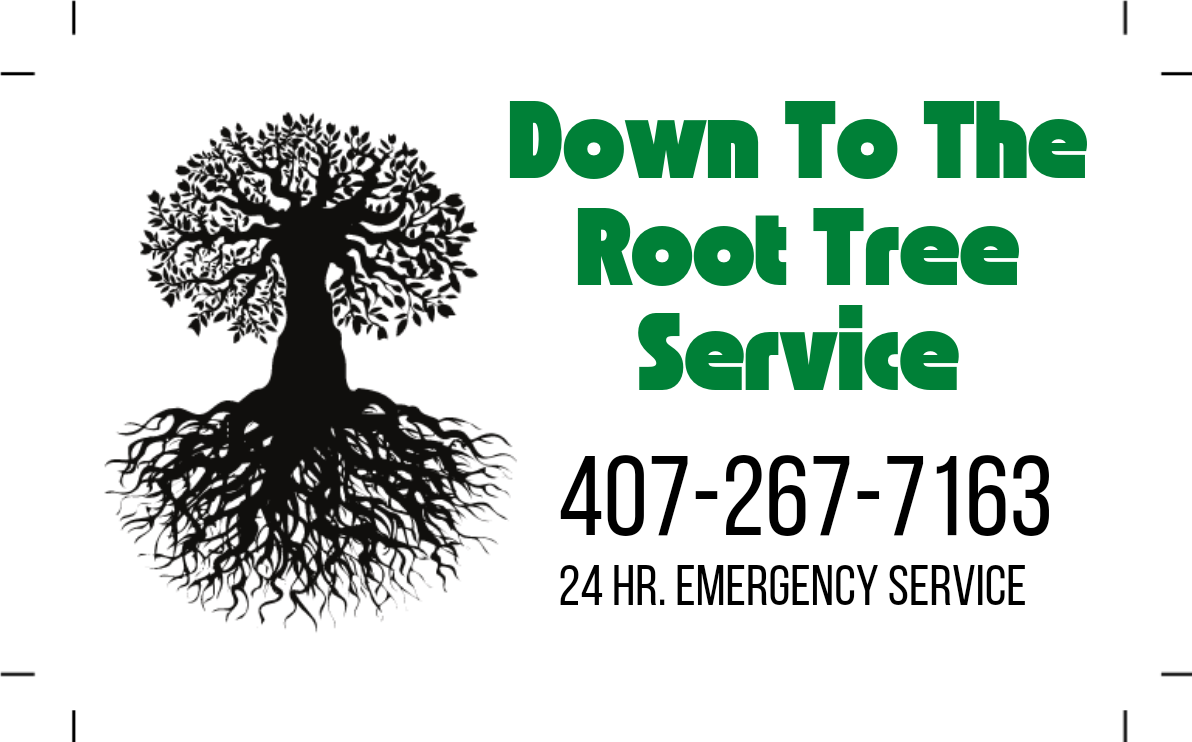 Down To The Root Tree Service