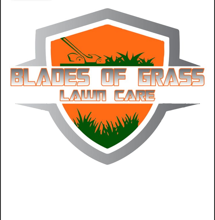 Blades of grass lawn care